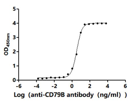 The Binding Activity of Human CD79B with Anti-CD79B recombinant antibody. Activity: Measured by its binding ability in a functional ELISA. Immobilized Human CD79A at 2 Î¼g/mL can bind Anti-CD79B recombinant antibody. The EC50 is 3.214-3.642 ng/mL.