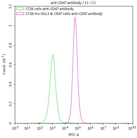 Untransfected CT26 cells (green line) and transfected Human DLL3 & CD47 CT26 stable cells (red line) were stained with anti-CD47 antibody (2Âµg/1*10 6 cells), washed and then followed by FITC-conjugated anti-Human IgG Fc antibody and analyzed with flow cytometry.