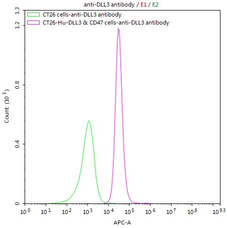 Untransfected CT26 cells (green line) and transfected Human DLL3 & CD47 CT26 stable cells (red line) were stained with anti-DLL3 antibody (2Âµg/1*10 6 cells), washed and then followed by APC-conjugated anti-Human IgG Fc antibody and analyzed with flow cytometry.