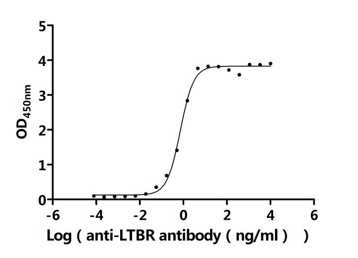 The Binding Activity of Human LTBR with Anti-LTBR Recombinant Antibody. Activity: Measured by its binding ability in a functional ELISA. Immobilized Human LTBR at 2 Î¼g/mL can bind Anti-LTBR recombinant antibody. The EC50 is 0.6450-0.8200 ng/mL.