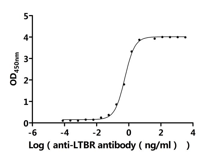 The Binding Activity of Human LTBR with Anti-LTBR Recombinant Antibody. Activity: Measured by its binding ability in a functional ELISA. Immobilized Human LTBR at 2 Î¼g/mL can bind Anti-LTBR recombinant antibody. The EC50 is 0.5282-0.6120 ng/mL.