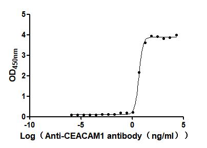 The Binding Activity of Human CEACAM1 with Anti-CEACAM1 recombinant antibody. Activity: Measured by its binding ability in a functional ELISA. Immobilized Human CEACAM1 at 2 Î¼g/mL can bind Anti-CEACAM1 recombinant antibody. The EC50 is 3.432 - 6.079 ng/mL.