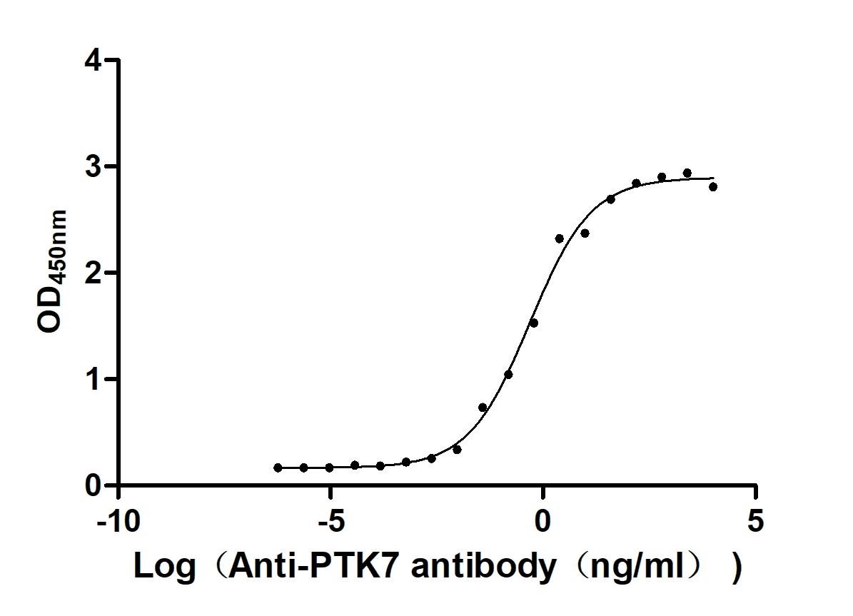 The Binding Activity of Human PTK7 with Anti-PTK7 recombinant antibody. Activity: Measured by its binding ability in a functional ELISA. Immobilized Human PTK7 at 2 Î¼g/mL can bind Anti-PTK7 recombinant antibody. The EC50 is 0.3675 - 0.6584 ng/mL.