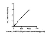 Human IL-12/IL-23 p40 ELISA Kit