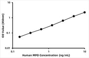 Human Myeloperoxidase (MPO) ELISA Kit