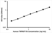 Human Osteoprotegerin (OPG) ELISA Kit