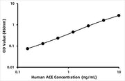 Human Angiotensin I (ANG-1) ELISA Kit
