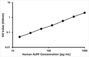 Human Placental alkaline phosphatase (PLAP) ELISA Kit