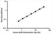 Human Elastin (ELN) ELISA Kit