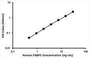 Human Fatty acid-binding protein, heart (FABP3) ELISA Kit