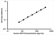 Human Cytokeratin 18 (CK-18) ELISA Kit