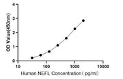 Human Neurofilament, Light Polypeptide ELISA Kit (NEFL)
