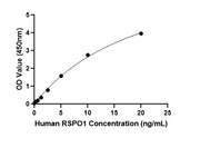 Human R-Spondin 1 (RSPO1) ELISA Kit