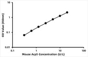Mouse Tartrate-resistant acid phosphatase 5b (TRACP-5b) ELISA Kit