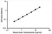 Mouse Annexin A1 (ANXA1) ELISA Kit