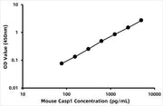 Mouse Caspase-1 (CASP1) ELISA Kit