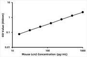 Mouse Neutrophil gelatinase-associated lipocalin (NGAL) ELISA Kit