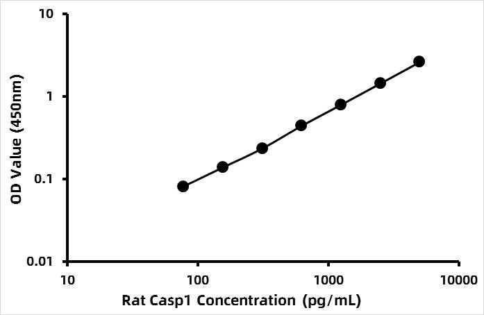 Rat Caspase-1 (CASP1) ELISA Kit
