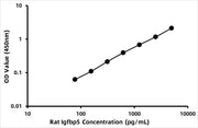 Rat Insulin-like growth factor binding protein 5 (IGFBP-5) ELISA Kit