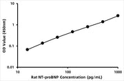 Rat N-Terminal Pro-Brain Natriuretic Peptide ELISA Kit (NT-ProBNP)