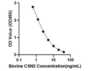 Bovine Beta-casein (CSN2) ELISA Kit
