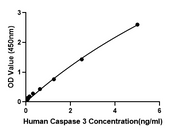 Human Caspase-3 ELISA Kit