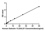 Human Galectin 1/LGALS1 ELISA Kit