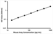 Mouse Amphiregulin (AR) ELISA Kit