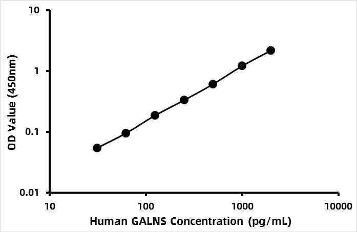 Human N-acetylgalactosamine-6-sulfatase (GALNS) ELISA Kit