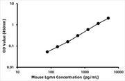 Mouse Legumain (LGMN) ELISA Kit