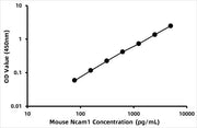 Mouse Neural cell adhesion molecule 1 (NCAM1) ELISA Kit