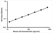 Mouse Carbonic anhydrase 9 (CA9) ELISA Kit
