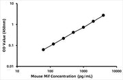 Mouse Macrophage Migration Inhibitory Factor (MIF) ELISA Kit