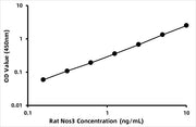 Rat Nitric oxide synthase, endothelial (NOS3) ELISA Kit