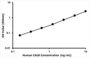 Human Calreticulin ELISA Kit