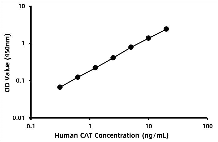 Human Catalase (CAT) ELISA Kit