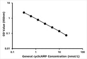 General Cyclic Adenosine Monophosphate ELISA Kit (cAMP)