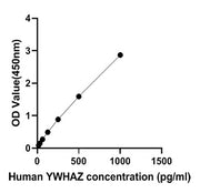 Human 14-3-3 protein zeta/delta (YWHAZ) ELISA Kit