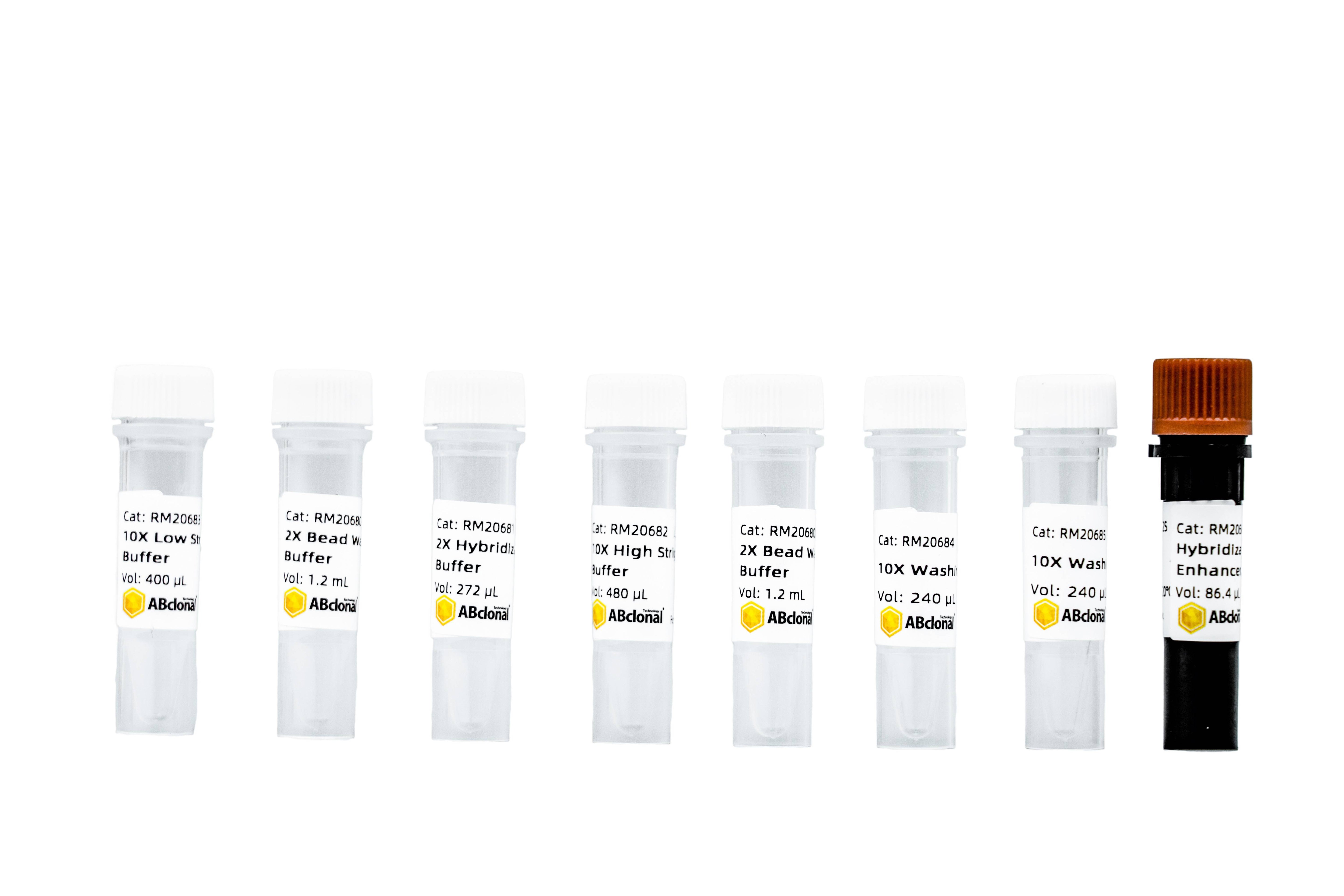 sCAP Hybridization and Wash Kit V2