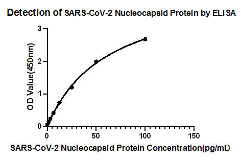 Rabbit anti-SARS-CoV-2 Nucleocapsid Protein mAb (CAP)