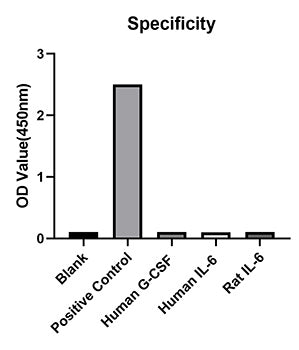 Rabbit anti-Human IL-12 p70 mAb (DET)