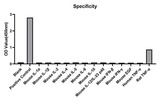 Rabbit anti-Mouse TNF-α mAb (DET)