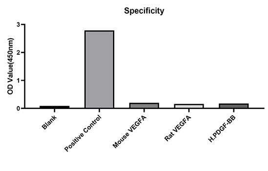 Rabbit anti-Human VEGF165 mAb