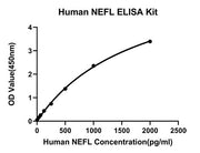 Rabbit anti-Human NEFL mAb (DET)