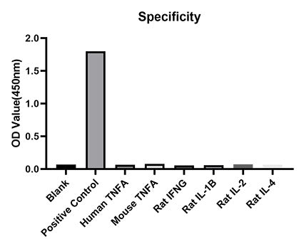 Rabbit anti-Rat TNFA mAb (DET)