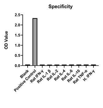 Rabbit anti-Rat IFN-gamma mAb (DET)