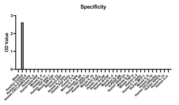 Rabbit anti-Human Cluster Of Differentiation 14 mAb (DET)