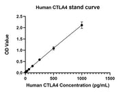 Rabbit anti-Human CTLA4 mAb(CAP)