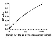 Rabbit anti-Human IL-12/IL-23 p40 mAb