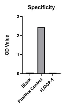 Rabbit anti-Mouse MCP-1 mAb (CAP)